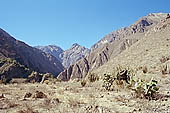 Colca Canyon